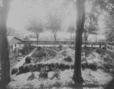 The Infirmary Garden behind Gervase Hall, pictured in 1890