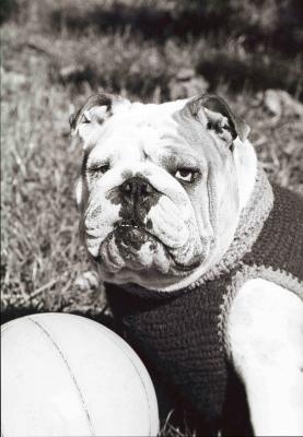 Black and white photo of "Rocky" in a sweater vest with a basketball. 