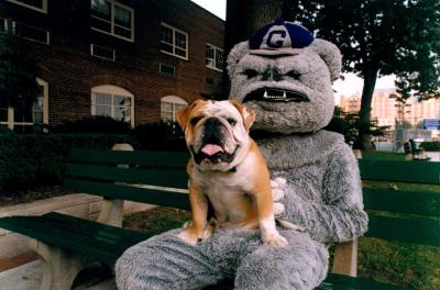 Jack the four-legged bulldog sits on the lap of the costumed Jack the Bulldog. 