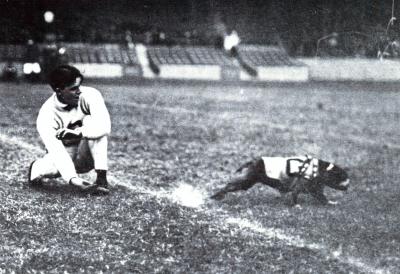 Black and white image of Stubby running across a football field while a cheerleader watches nearby. 