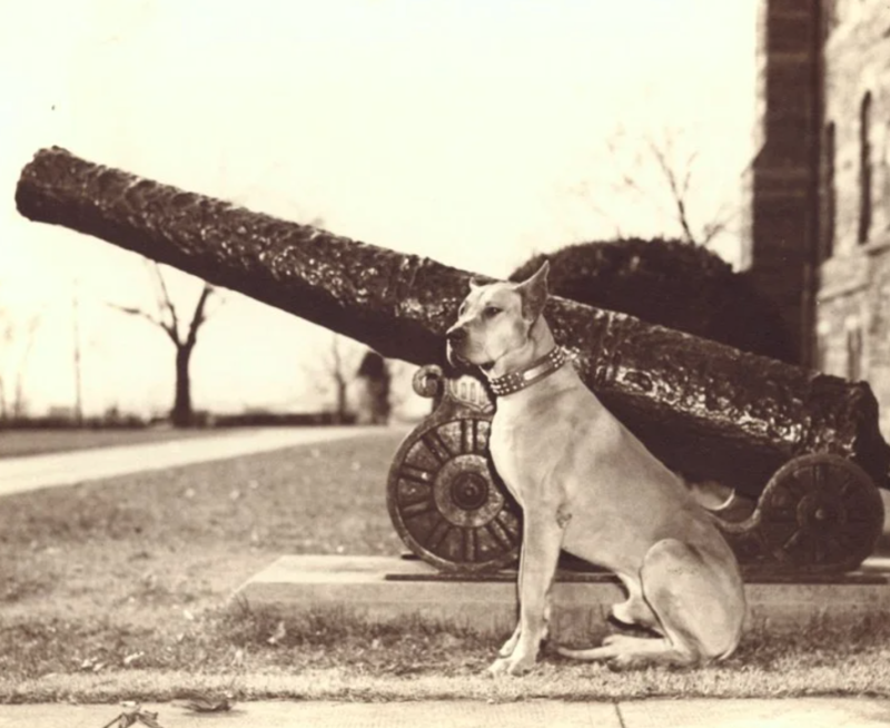 Butch in front of Cannon 